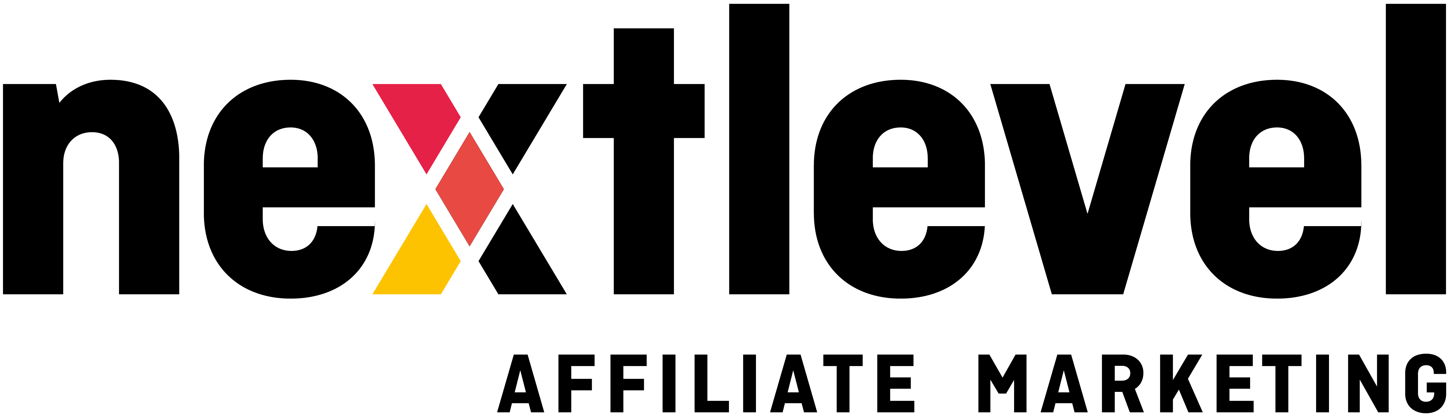 Next Level Affiliate Marketing 