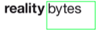 reality bytes