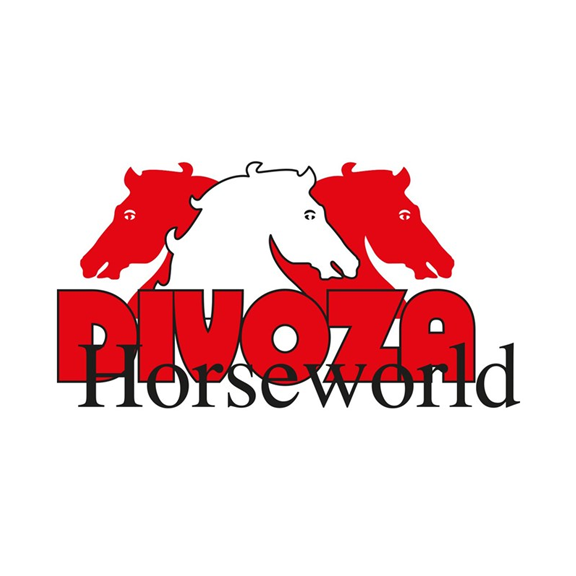 divoza.com Partnerprogramm