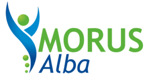 MORUS alba Partnerprogramm