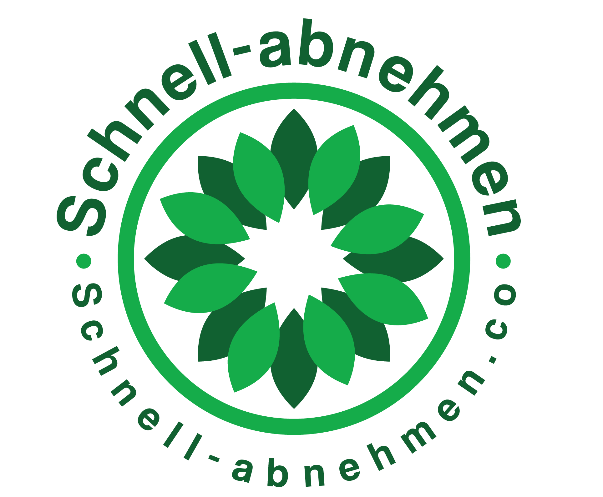 schnell-abnehmen.co Partnerprogramm