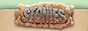 Stonies Partnerprogramm