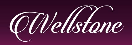 wellstone-shop.de Partnerprogramm